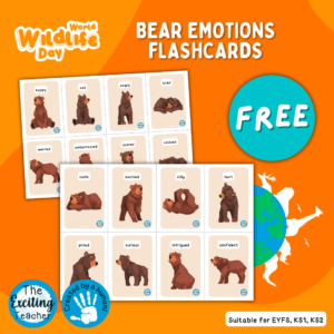 Bear Big Emotions Flashcards by Exciting Teacher