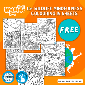 World Wildlife Day Mindfulness Colouring In Sheet by Exciting Teacher