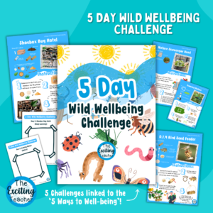5 Days of Wild Wellbeing Nature Themed Activity Instruction Cards by Exciting Teacher 2024